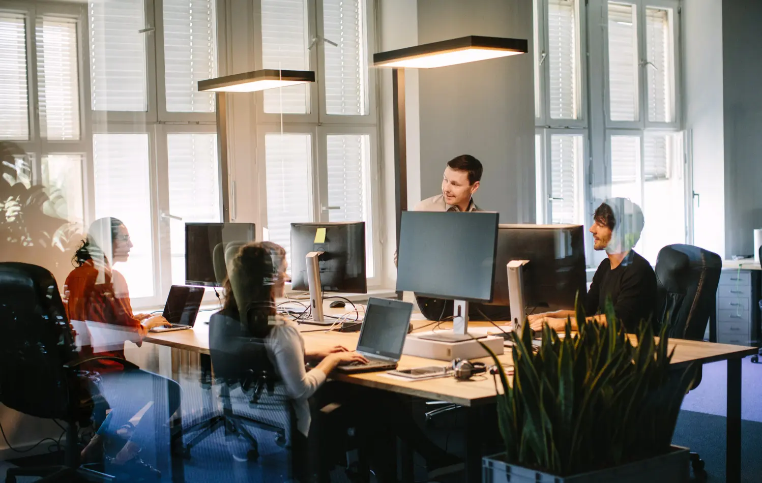 Four people work at computers in a modern office with large windows and bright lighting. Two are seated at desks while two others stand and talk about how to hire NetSuite talent. A plant is visible in the foreground.